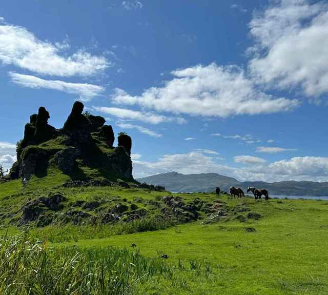 Castle Coeffin remains sitting on a hilltop with horses and the lush green grass in the background, Lismore.