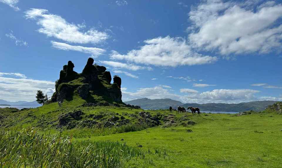 Castle Coeffin remains sitting on a hilltop with horses and the lush green grass in the background, Lismore.
