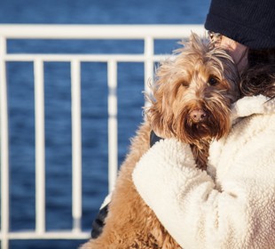 lady hugging her dog looking out from the deck of the boat