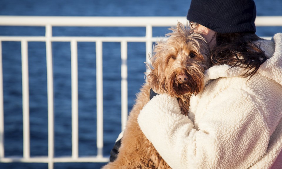 lady hugging her dog looking out from the deck of the boat