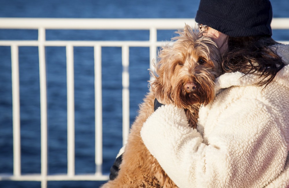 lady hugging her dog looking out from the deck of the boat