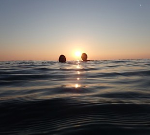 Two people are swimming in the ocean at sunset. The sun is low on the horizon, casting a warm glow across the sky and reflecting off the water. 
