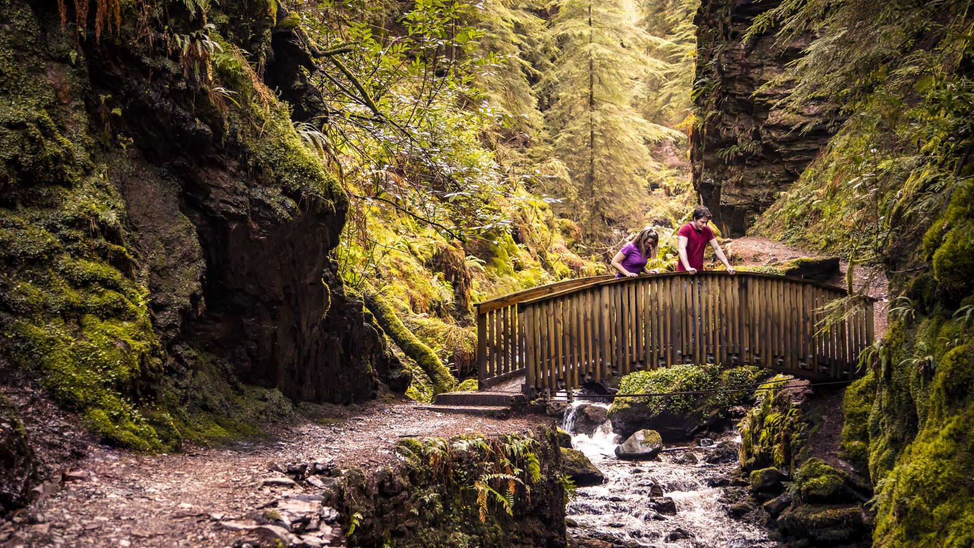 A couple looking over a small bridge as water runs underneath at the wooded area called Pucks Glen