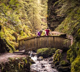 A couple looking over a small bridge as water runs underneath at the wooded area called Pucks Glen