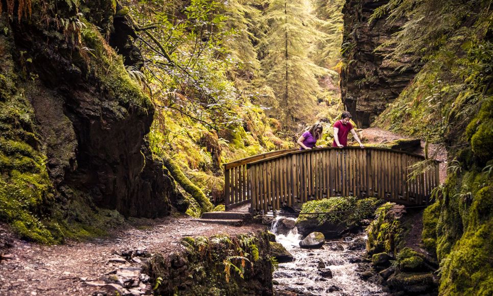 A couple looking over a small bridge as water runs underneath at the wooded area called Pucks Glen