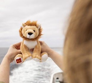 A person holds a small plush lion toy with both hands in front of an ocean backdrop. 