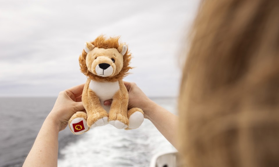 A person holds a small plush lion toy with both hands in front of an ocean backdrop. 