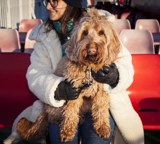 lady with a dog sitting on her knee sitting on the red deck chairs