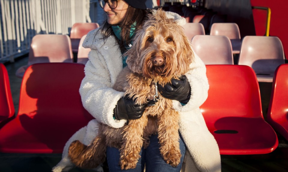 lady with a dog sitting on her knee sitting on the red deck chairs