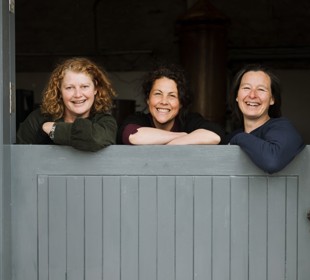 three ladies posing over a grey stable gate