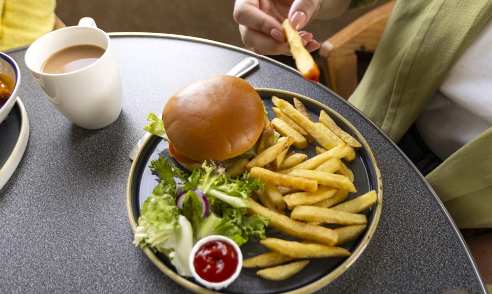 burger on a plate with fries, a side salad and a sauce of tomato ketchup