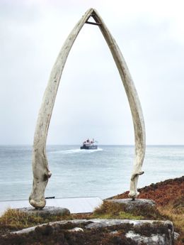 The giant whale bone arch with a view of the ferry sailing away in the distance