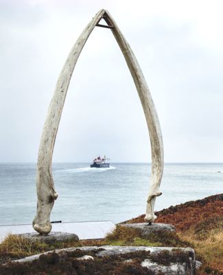 The giant whale bone arch with a view of the ferry sailing away in the distance