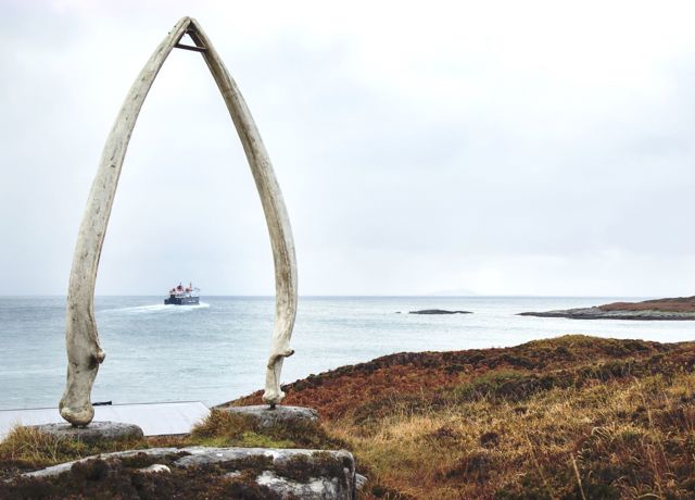 The giant whale bone arch with a view of the ferry sailing away in the distance