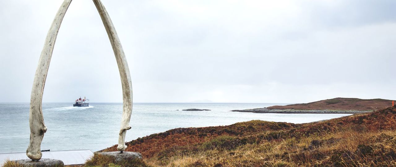 The giant whale bone arch with a view of the ferry sailing away in the distance