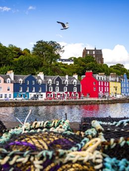The colourful houses at Tobermory harbour on the Isle of Mull, with fishermens creels in the foreground.