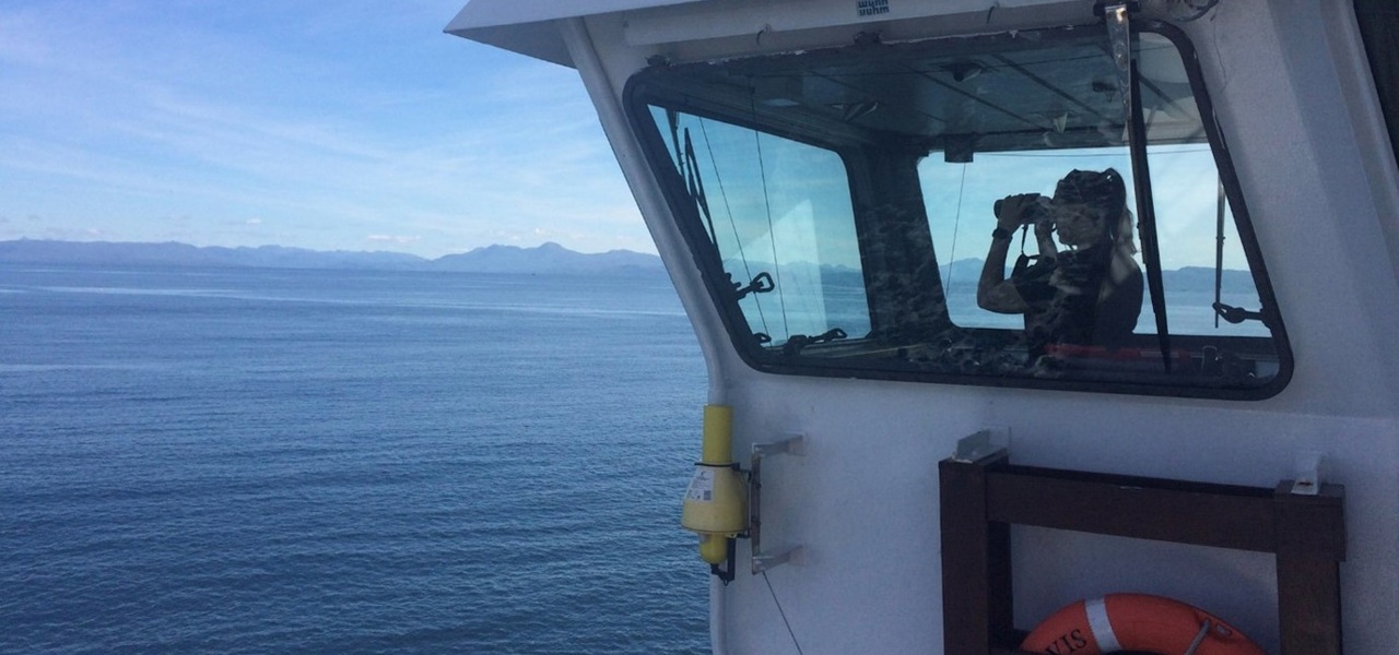 ORCA Marine Mammal Surveyor uses binoculars to look out to sea