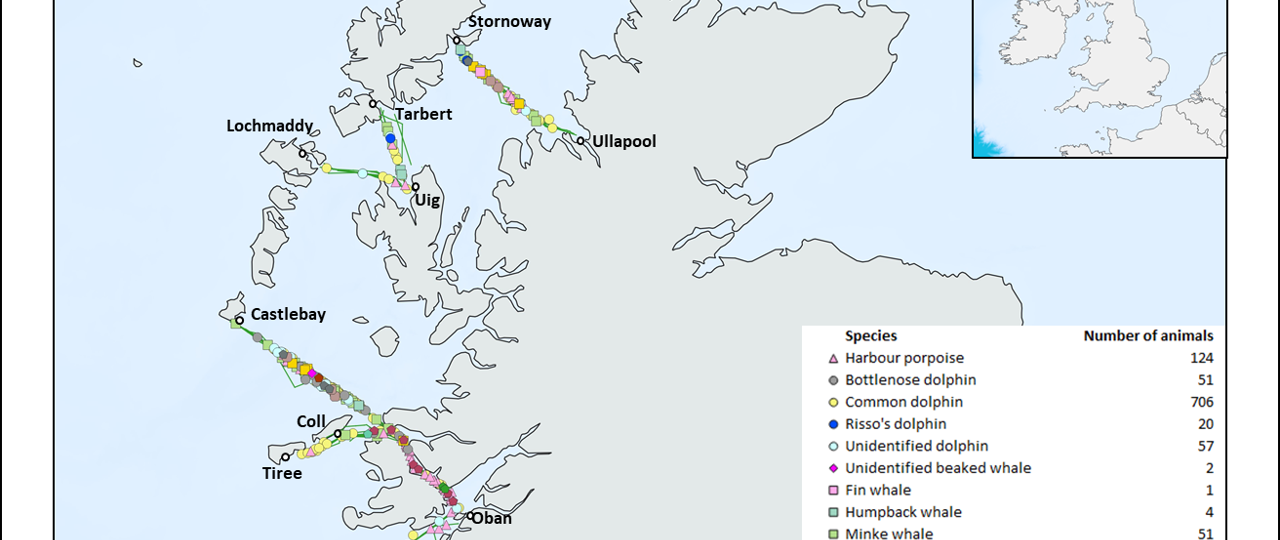 ORCA Surveyor sightings onboard 2023