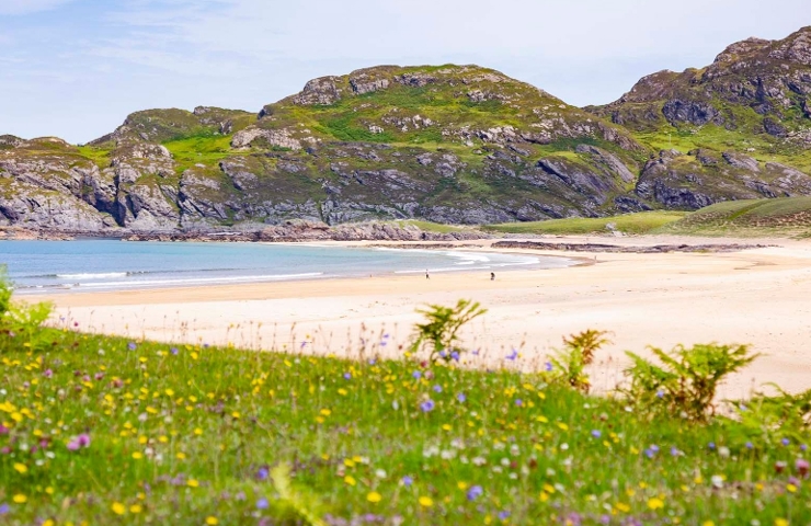 A view of the golden sandy beach and colourful flowers nearby