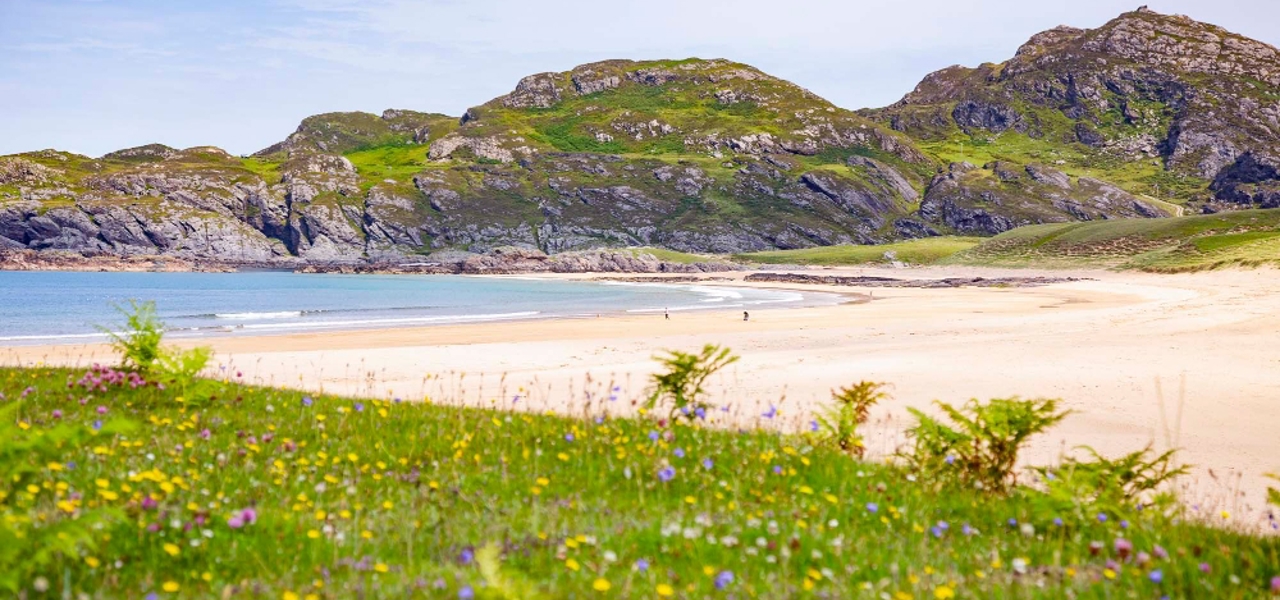 A view of the golden sandy beach and colourful flowers nearby