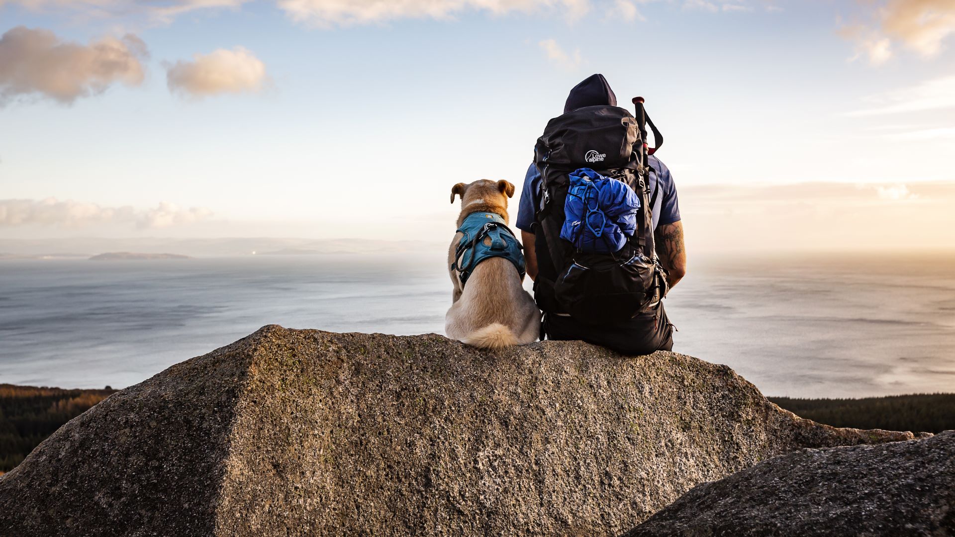 A hiker admiring views of Arran with their dog