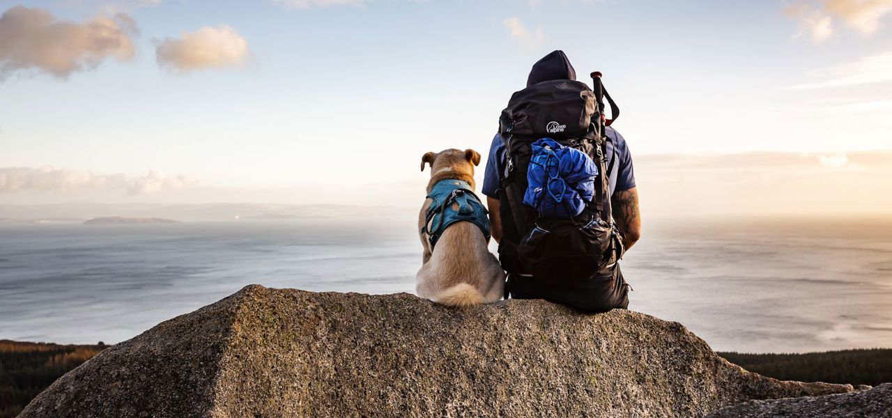 A hiker admiring views of Arran with their dog