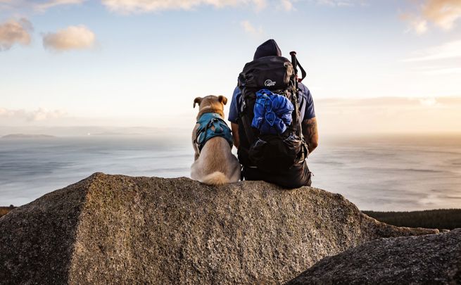 A hiker admiring views of Arran with their dog
