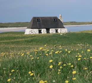 A traditional stone built croft home, sitting on green grass dotted with yellow flowers, on the isle of Tiree.