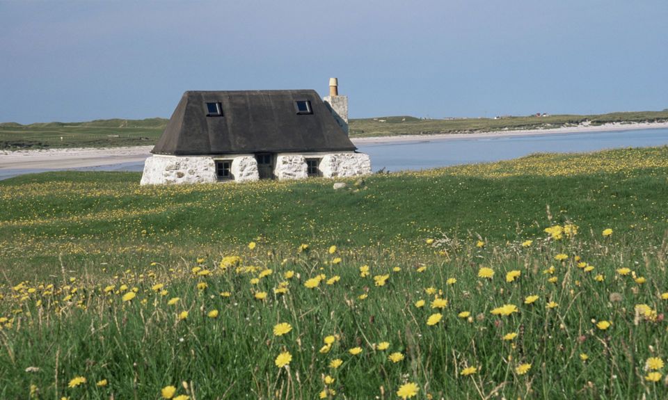 A traditional stone built croft home, sitting on green grass dotted with yellow flowers, on the isle of Tiree.