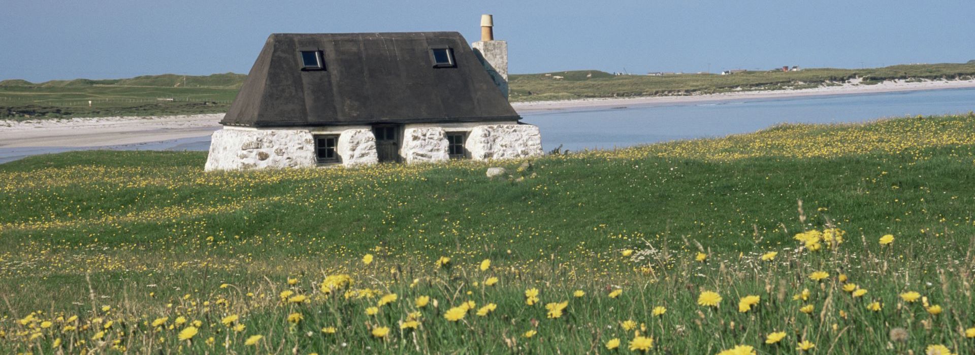 A traditional stone built croft home, sitting on green grass dotted with yellow flowers, on the isle of Tiree.