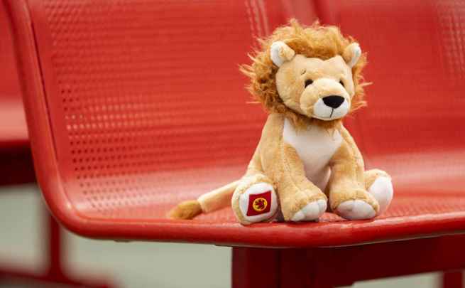 The CalMac toy lion sitting on a red seat on the ship deck. 