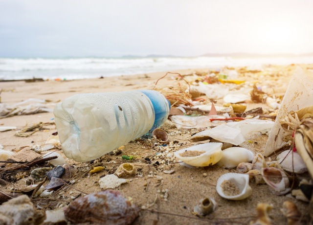 Litter on beach