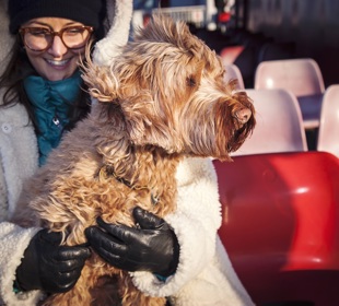 woman and her dog blowing in the wind on deck