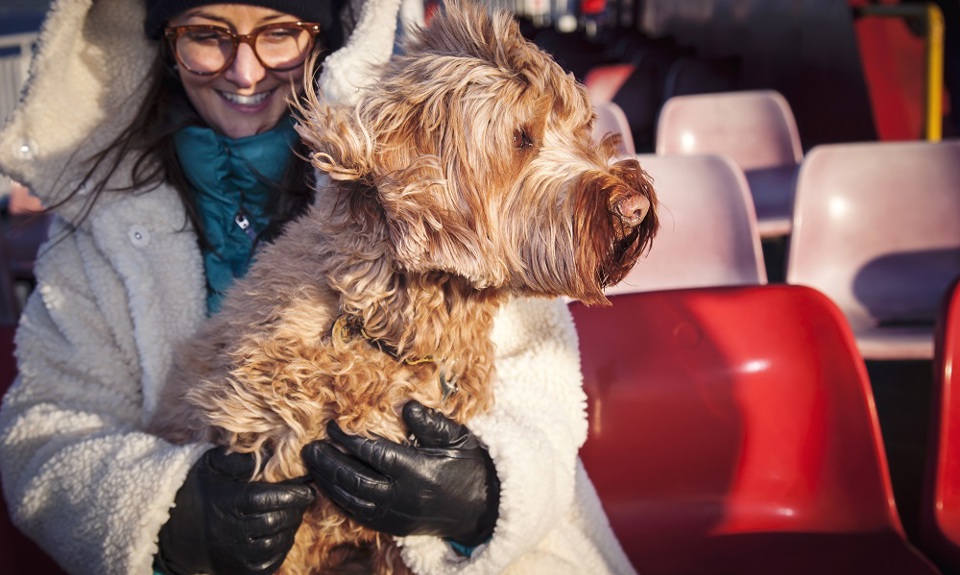 woman and her dog blowing in the wind on deck