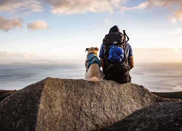 A dog and hiker sitting on a rocky peak enjoying views of Arran and Ayrshire