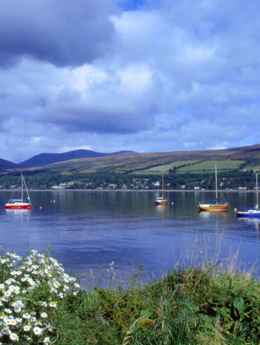 Gareloch On Roseneath Peninsula Clyde, a view across the water with daisies in the foreground and smaller sail boats and a hillside in the background.