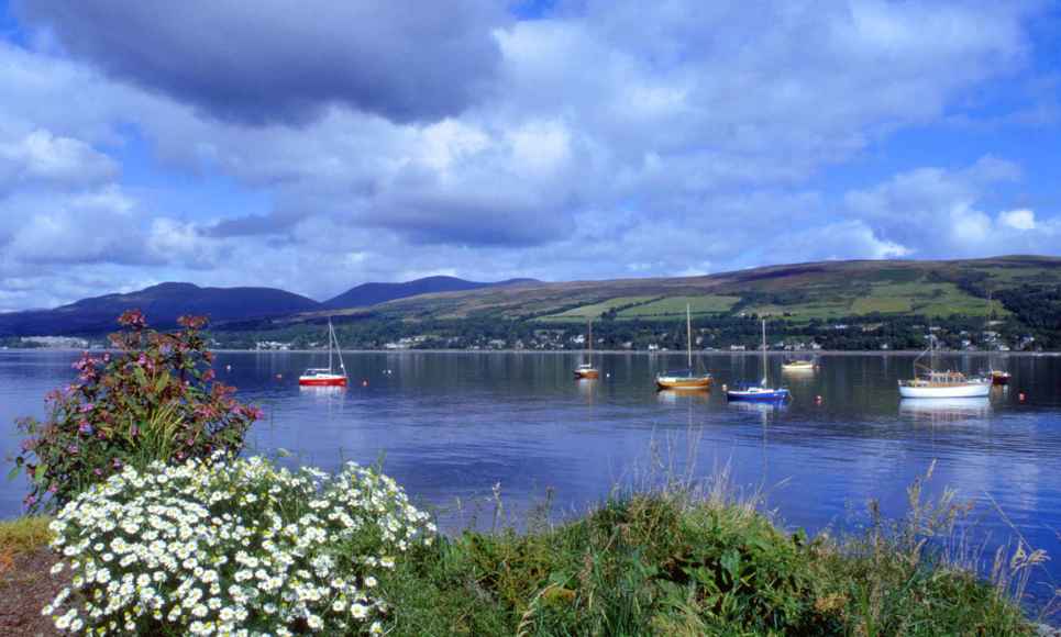 Gareloch On Roseneath Peninsula Clyde, a view across the water with daisies in the foreground and smaller sail boats and a hillside in the background.