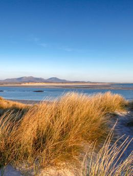 Wildlife photographer, standing in sand dunes at the beach at Liniclate Benbecula.