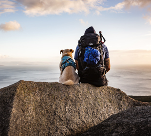 Hillwalker and dog sitting with a view from Arran to mainland