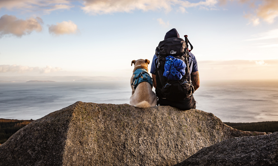 Hillwalker and dog sitting with a view from Arran to mainland