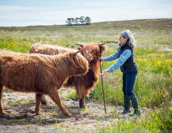 A farmer in a field with her hands out welcoming two highland cows towards her