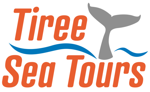 New Logo