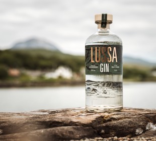 Bottle of Lussa gin sitting on a rock with the sea in the background
