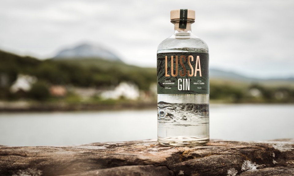 Bottle of Lussa gin sitting on a rock with the sea in the background